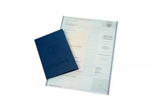 Диплом колледжа с 2008 по 2010 годы образец 4